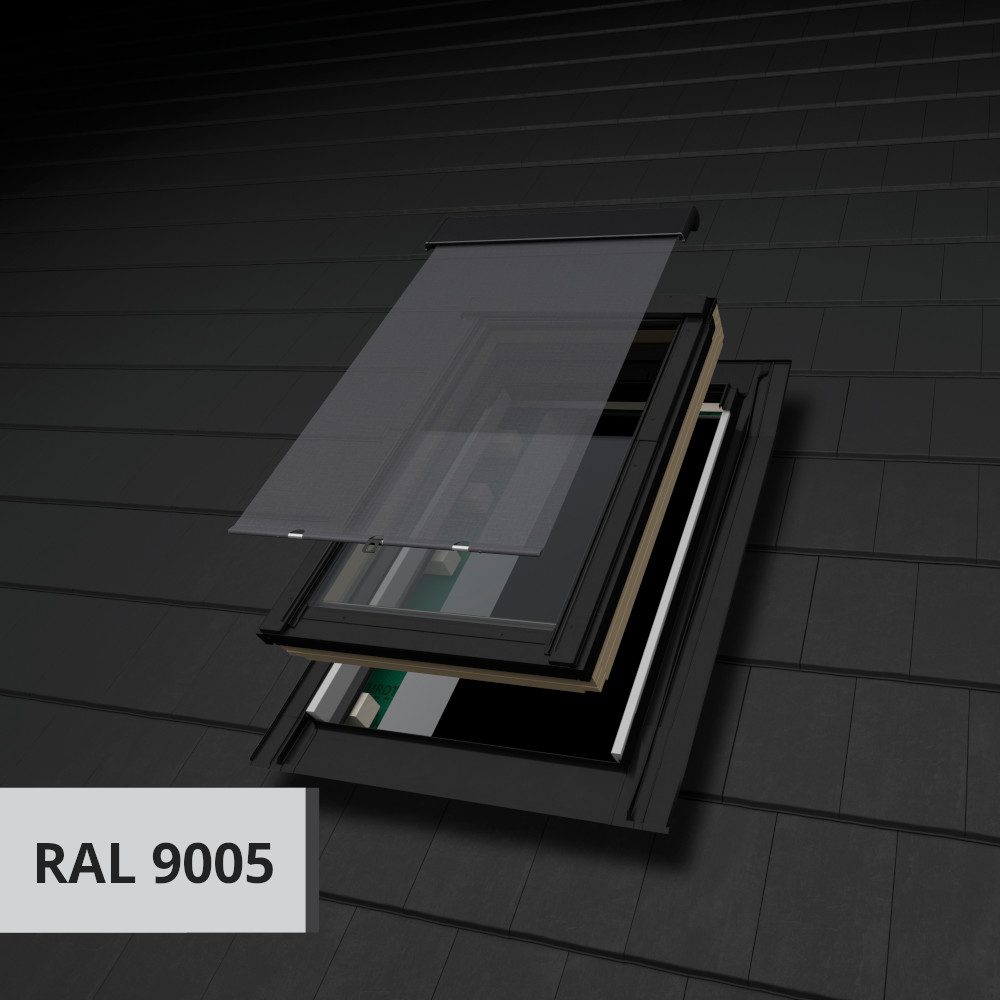 RAL 9005